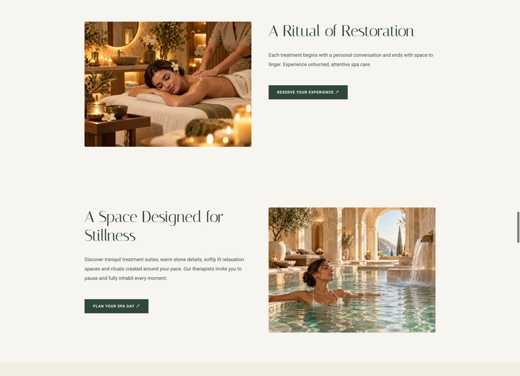 Avelisse Pro Spa WordPress theme homepage preview